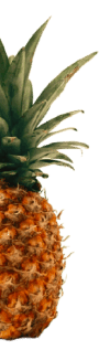 pineapple image